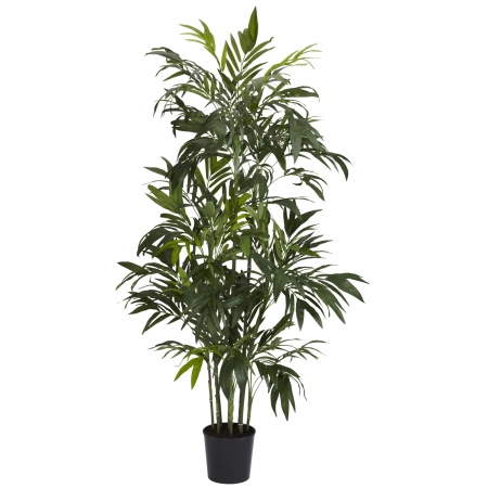 6 in. Bamboo Palm Silk Tree