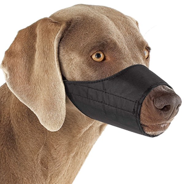 Picture of Guardian Gear TP639 12 Guardian Gear Lined Muzzle 5 In Snout Size 1