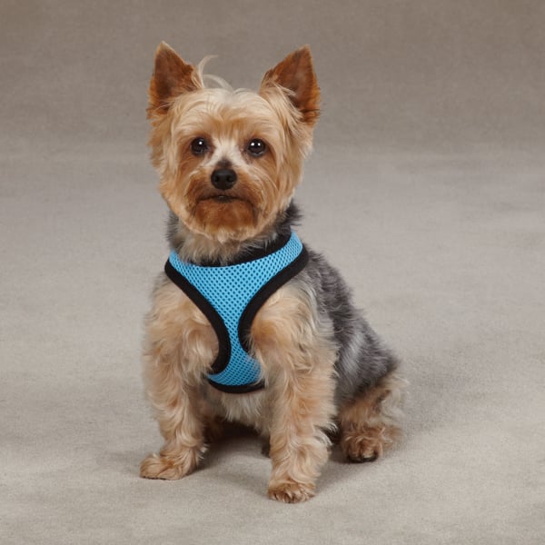 Picture of Casual Canine ZA005 12 19 CC Pastel Mesh Harness Sm Blue