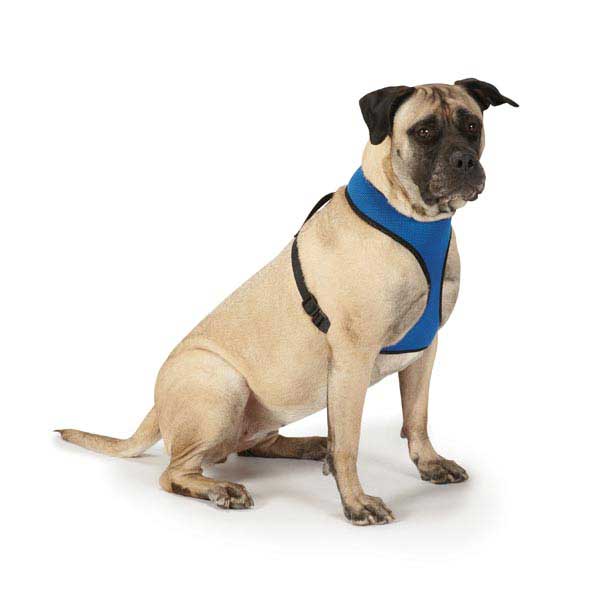 Picture of Casual Canine ZA888 16 83 Casual Canine Mesh Harness Med Red