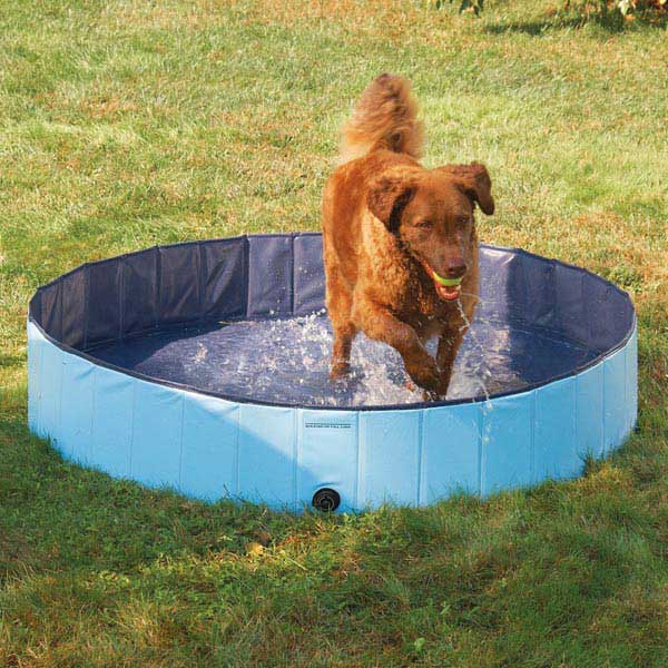 Picture of Petedge ZW3188 10 92 Guardian Gear Splash About Dog Pool Med Sky Blue