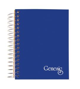 13126 Genesis Fatbook - 200 Sheets Per Book -  Roaring Spring Paper Products