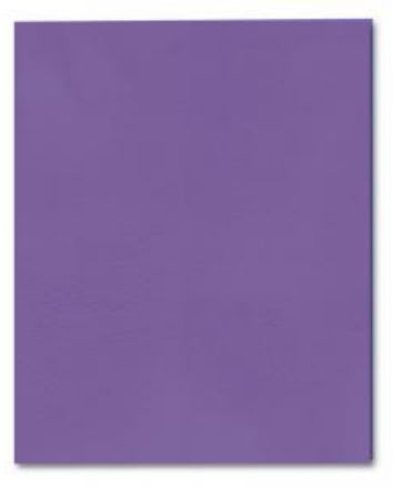 Picture of Roaring Spring Paper Products 50114 Embossed Pocket Folder - 25 Boxes Per Case
