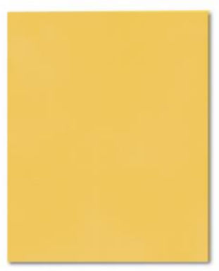 Picture of Roaring Spring Paper Products 50121 Embossed Pocket Folder - 25 Boxes Per Case