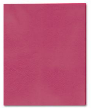 Embossed Pocket Folder - 25 Boxes Per Case - Case of 10