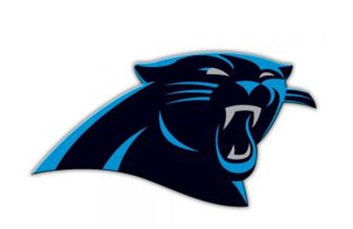 Picture of Fremont Die 98728 12 in. Vinyl Magnet - Carolina Panthers