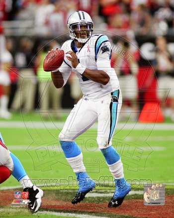 Picture of Photofile PFSAANY10801 Cam Newton 2011 Action -8 x 10 Poster Print