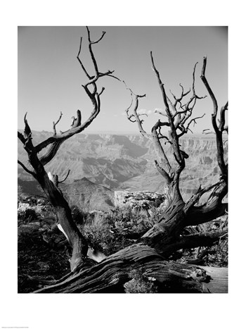 Picture of PVT-Superstock SAL255423190 USA  Arizona  Grand Canyon  Colorado River seen from South Rim -18 x 24 Poster Print