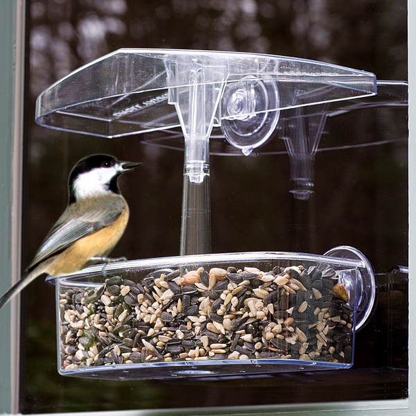 Picture of Droll Yankees OWF Observer Window Feeder