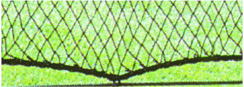 GOAL GRN12.5 12.5 ft. H x 150 ft. W Range Netting