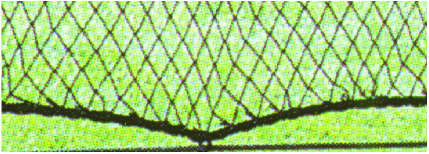 GOAL GRN25 25 ft. H x 150 ft. W Range Netting