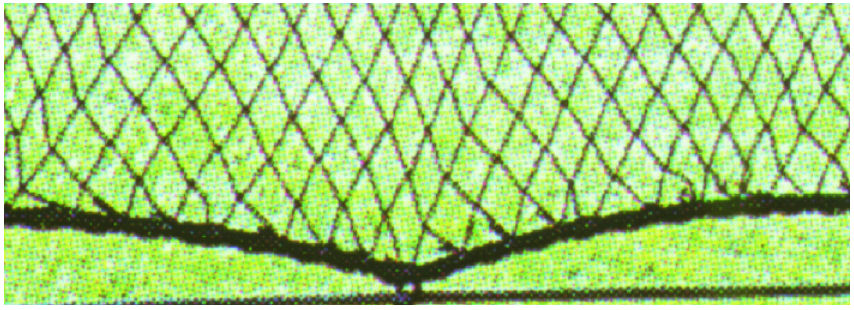 GOAL GRN6.5 6.5 ft. H x 150 ft. W Range Netting