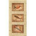 CO-PEN C01BB405 Fishing Lures Poster Print by Becca Barton -8 x 16 CO-PEN C01BB405 Fishing Lures Poster Print by Becca Barton -8 x 16