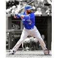 Photofile PFSAAOV13001 Jose Bautista 2012 Spotlight Action Photo Print -8.00 x 10.00 Photofile PFSAAOV13001 Jose Bautista 2012 Spotlight Action Photo Print -8.00 x 10.00