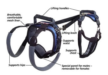 Picture for category Safety Harnesses