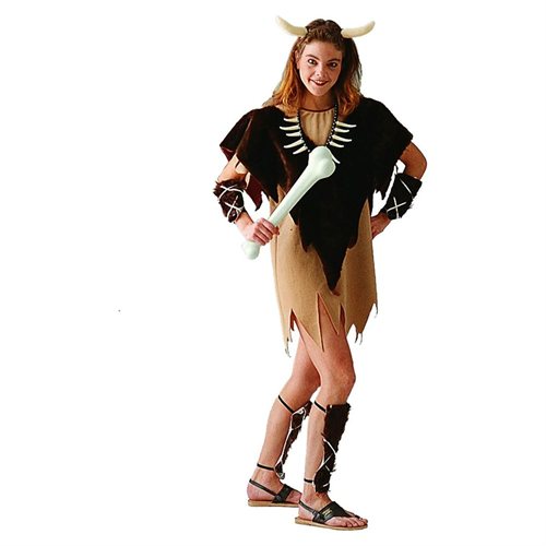 Picture of RG Costumes 81055 Viking Girl Costume Adult Standard