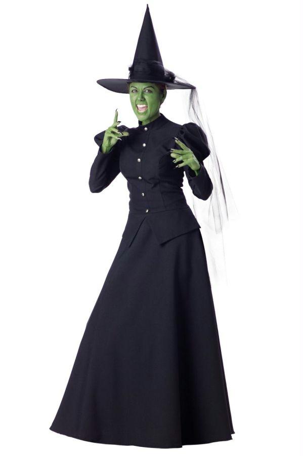 Picture of Costumes For All Occasions Ic1022Lg Wicked Witch Adult Large