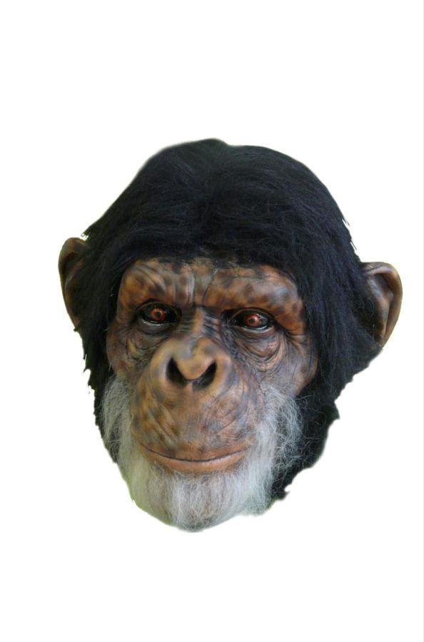 Picture of Costumes For All Occasions Ta507 Chimp Latex Mask