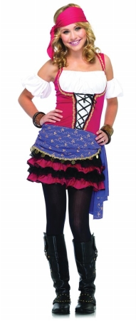 Picture of Costumes For All Occasions Uaj48036Sd Crystal Bally Gypsy Sm/Med