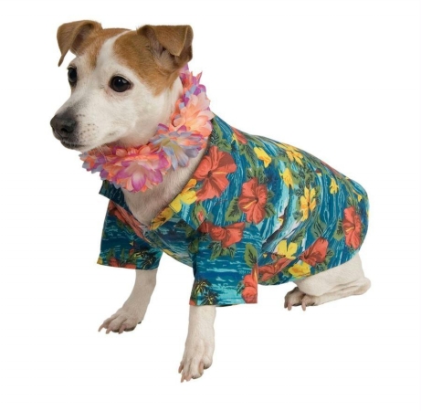 Costumes For All Occasions Ru885932Md Pet Luau Costume Medium