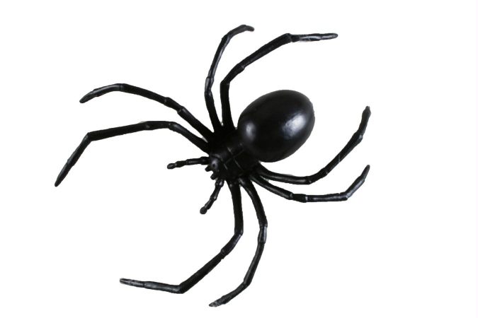 Picture of Costumes For All Occasions Fw9892 Black Widow Spider 6Inch