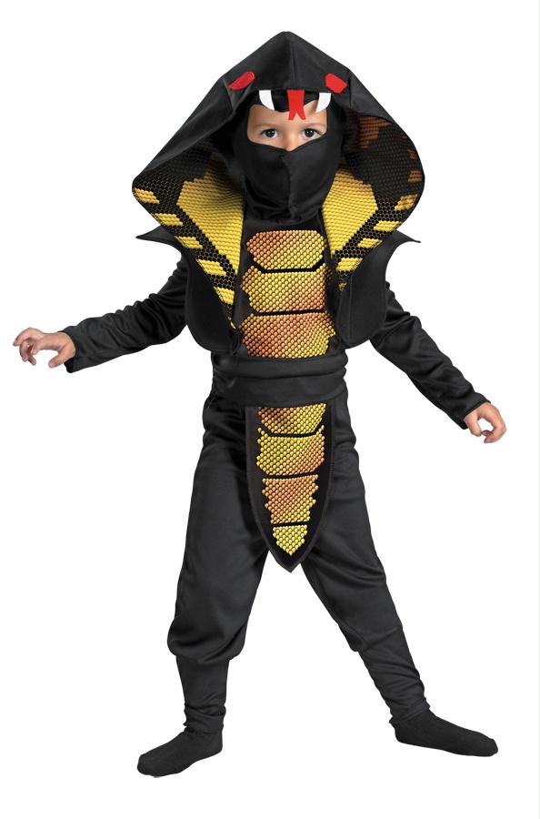 Picture of Costumes For All Occasions Dg25975L Cobra Ninja 4-6