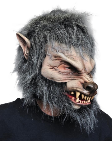 Picture of Costumes For All Occasions 1009Mabs Great Wolf