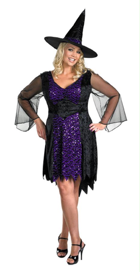 Picture of Costumes For All Occasions Dg23884R Brilliantly Bewitched 22-24