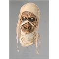 Costumes For All Occasions Ta419 Evil Mummy Mask Costumes For All Occasions Ta419 Evil Mummy Mask