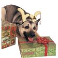 Costumes For All Occasions Ru432 Reindeer Dog Antlers Costumes For All Occasions Ru432 Reindeer Dog Antlers