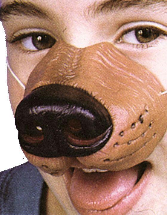 Picture of Costumes For All Occasions Fa133 Nose Dog W Elastic