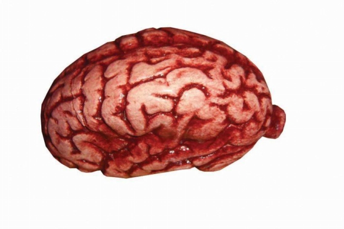 Picture of Costumes For All Occasions 85013 Brain Latex