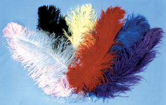 Picture of Costumes For All Occasions Bb06Bk Ostrich Plumes Black Jumbo