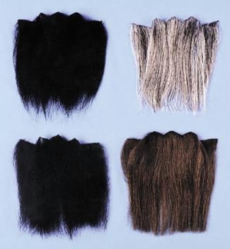 Picture of Costumes For All Occasions Cb31Db Beard Full Dark Brown