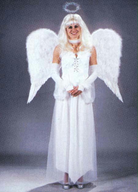 Picture of Costumes For All Occasions Fw8970Wt Angel Wings Feathr Adlt Wht