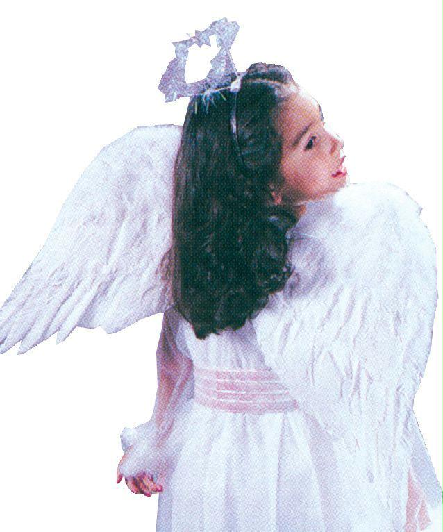 Picture of Costumes For All Occasions Fw8971Wt Angel Wings Feathr Chld Wht