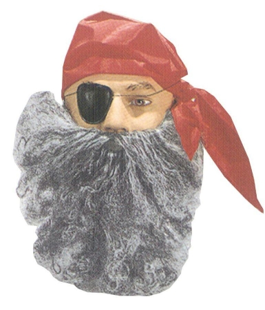 Picture of Costumes For All Occasions Fw9267Gy Beard Big And Curly Gray