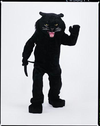 Picture of Costumes For All Occasions Cm69023 Panther Black Mascot Complete