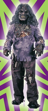 Picture of Costumes For All Occasions Fw8789Lg Zombie Complete Child Large