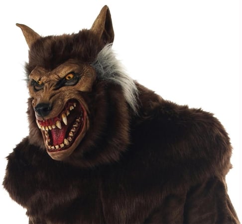 Picture of Costumes For All Occasions Mr035011 Werewolf Deluxe Mask
