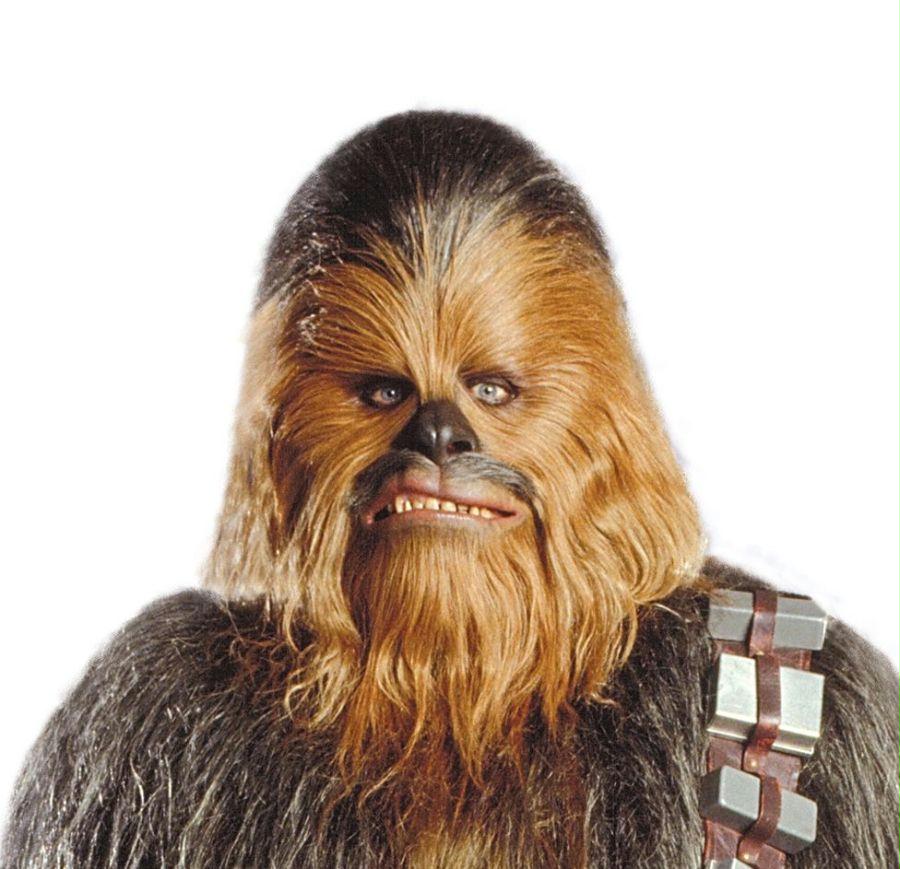 Costumes For All Occasions Ru4195 Chewbacca Mask