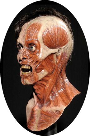 Picture of Costumes For All Occasions Du5011 Human Error Resurrection Mask
