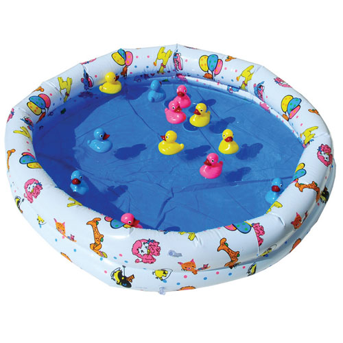Duck Pond Game