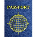 Ashley Productions ASH10708 Blank Passports Pack Of 12 Ashley Productions ASH10708 Blank Passports Pack Of 12