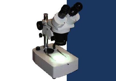 Picture of LW Scientific DMM-S12N-7LL1 DM 10x-20x Dual Mag Stereoscope on Dual-LED stand