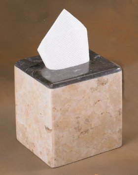 Picture of EVCO International 74627 Champagne Marble Inverary Banded Tissue Box Holder