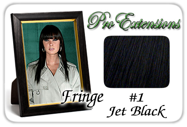 Picture of Brybelly Holdings PRFR-1 No. 1 Jet Black Pro Fringe Clip In Bangs
