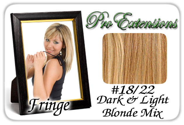 Picture of Brybelly Holdings PRFR-1822 No. 18-22 Dark Blonde with Highlights Pro Fringe Clip In Bangs