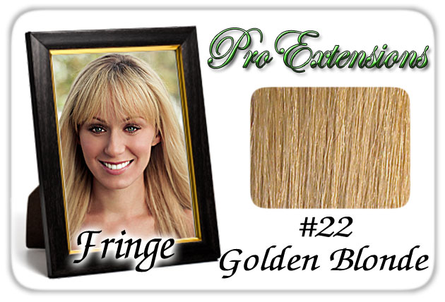 Picture of Brybelly Holdings PRFR-22 No. 22 Golden Blonde Pro Fringe Clip In Bangs