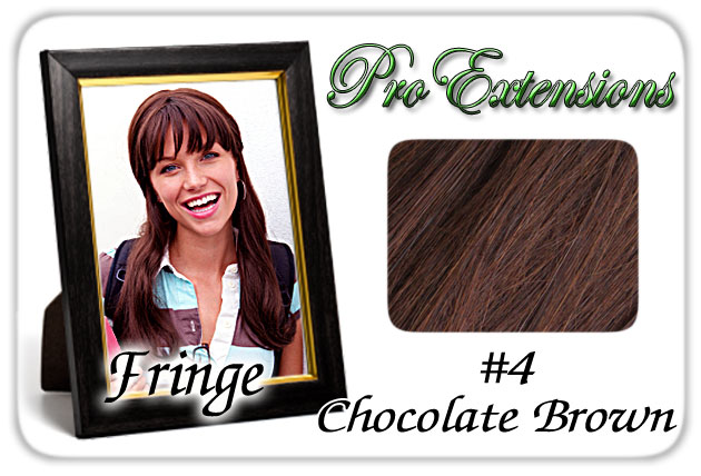 Picture of Brybelly Holdings PRFR-4 No. 4 Chocolate Brown Pro Fringe Clip In Bangs